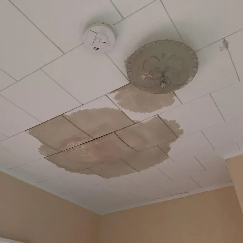 Ceiling Water Damage Repair in Lee County, TX