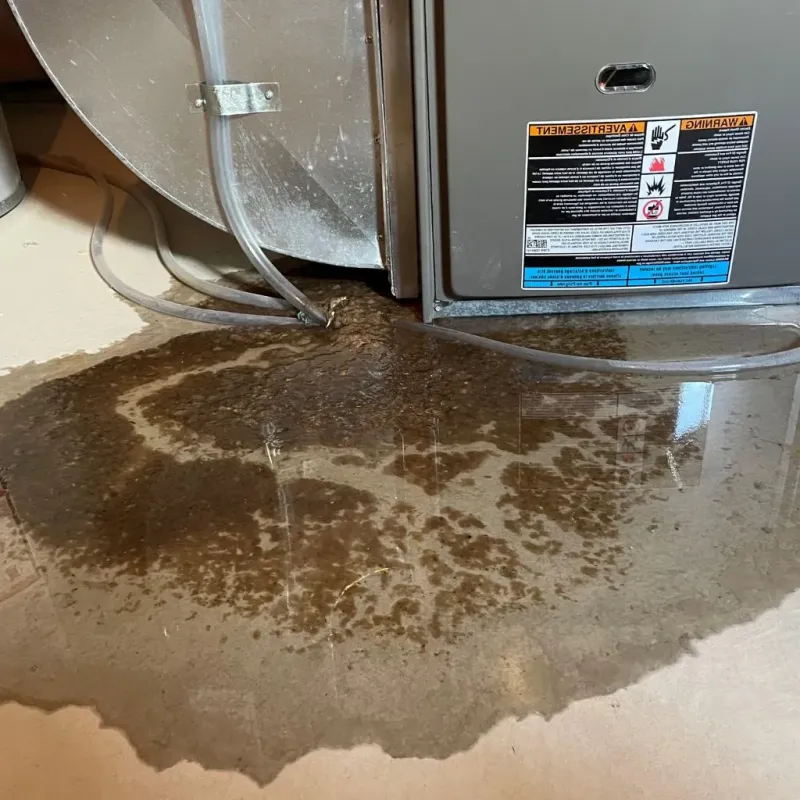 Pipe Burst and Leak Restoration in Lee County, TX