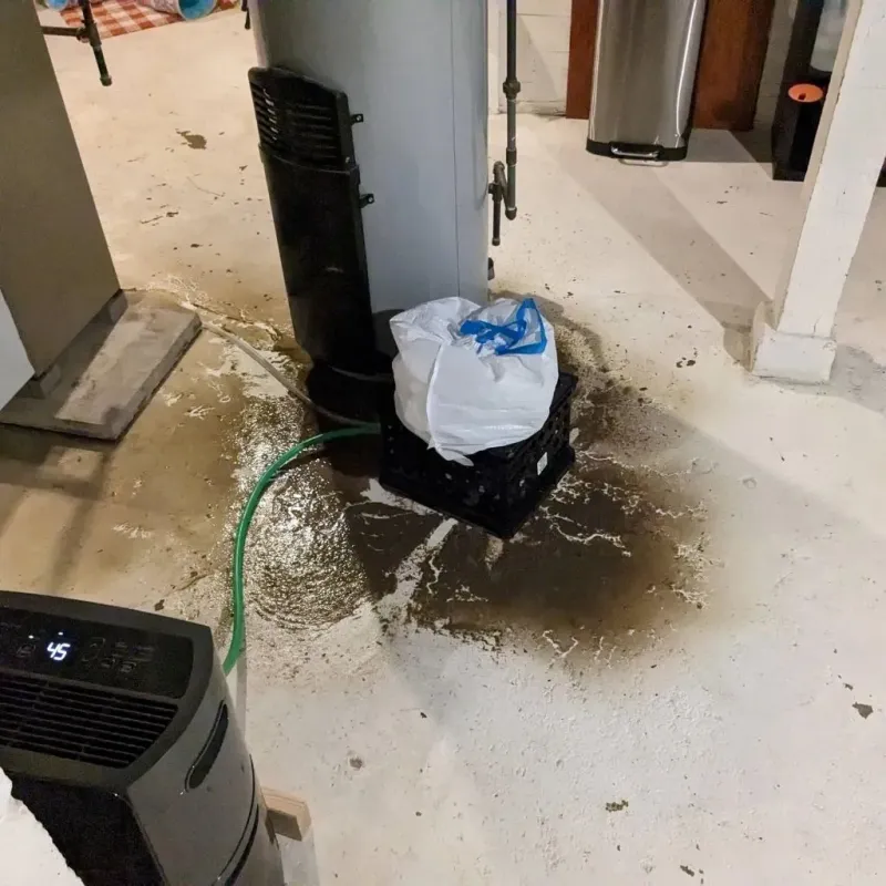 Sewage Backup Cleanup Service in Lee County, TX